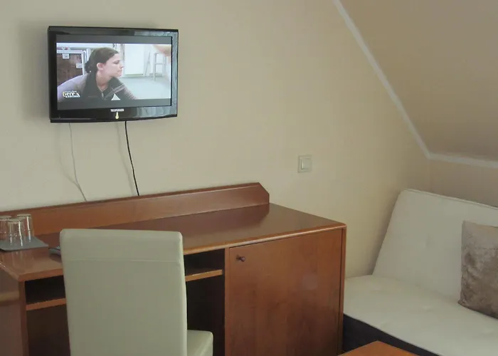 杜塞尔多夫阿尔特酒店 杜塞尔多夫